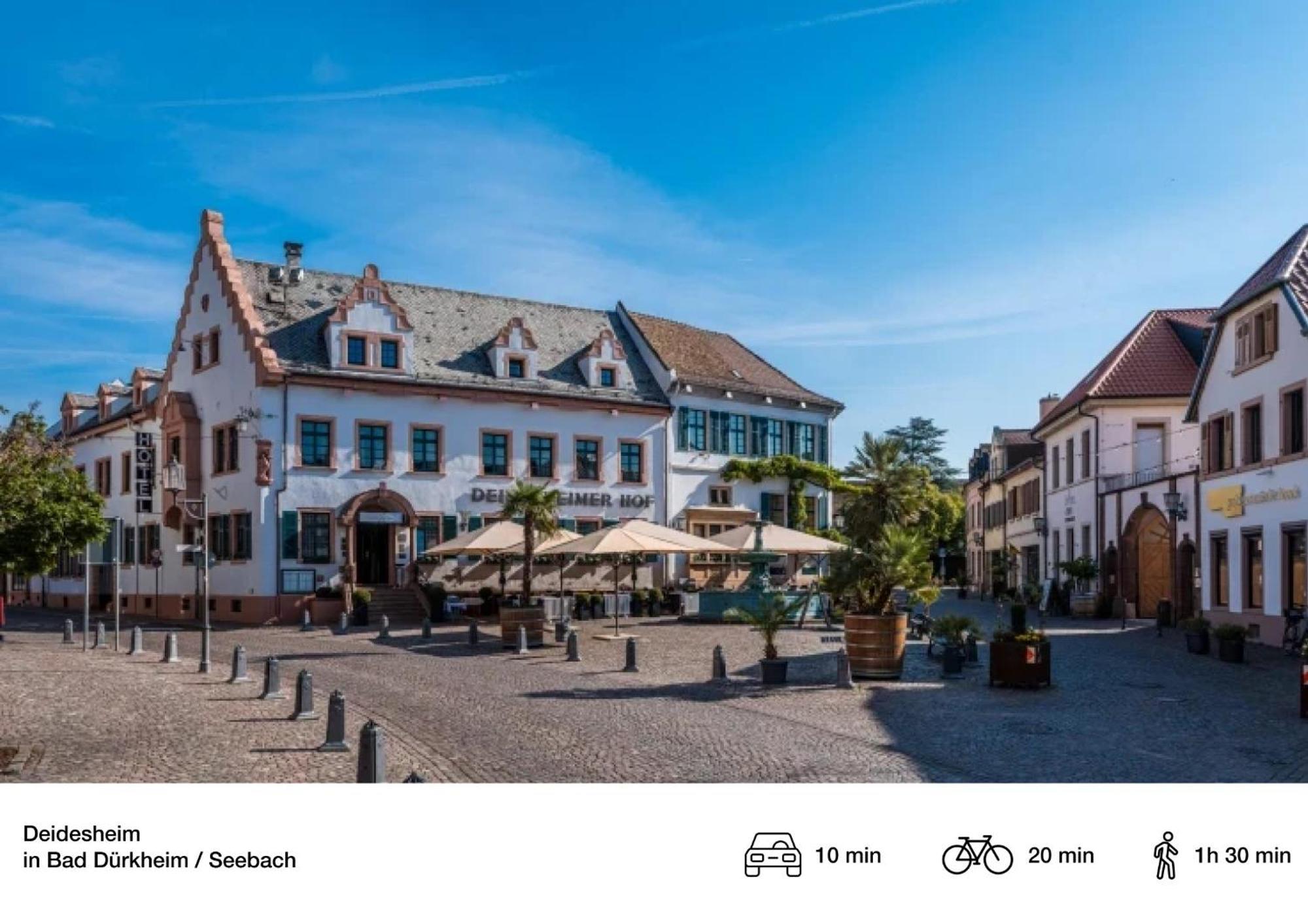 Privates Ferienhaus Mit Pool & Whirlpool Zentral In Bad Duerkheim Exterior photo