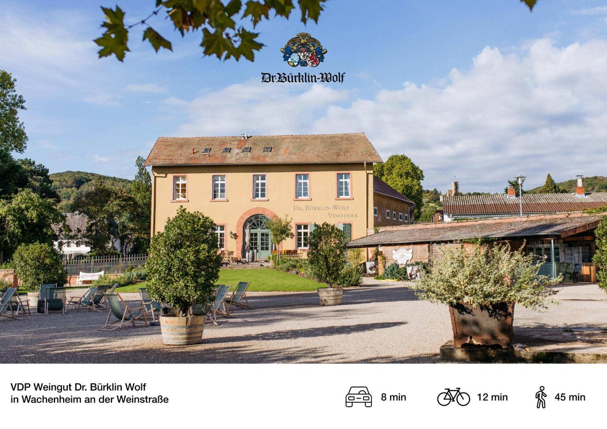 Privates Ferienhaus Mit Pool & Whirlpool Zentral In Bad Duerkheim Exterior photo