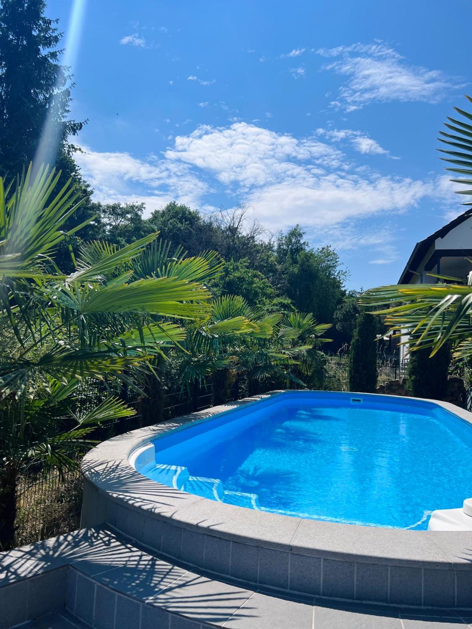 Privates Ferienhaus Mit Pool & Whirlpool Zentral In Bad Duerkheim Exterior photo